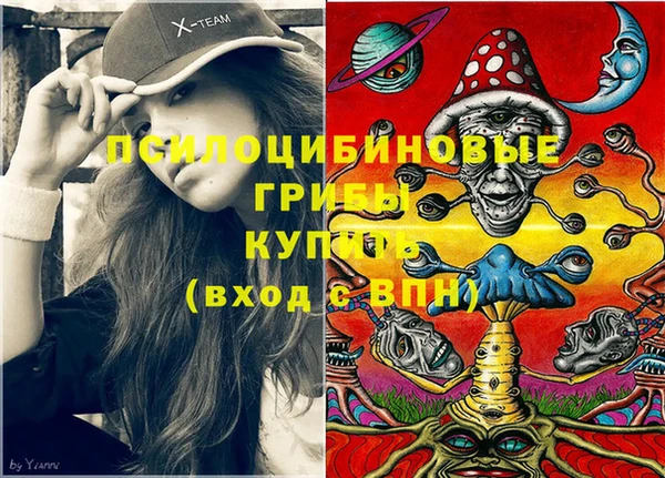МДПВ Горняк