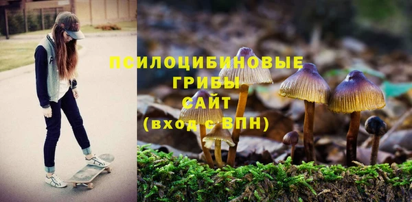 МДПВ Горняк