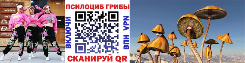Псилоцибиновые грибы MAGIC MUSHROOMS  Купить  Оленегорск 